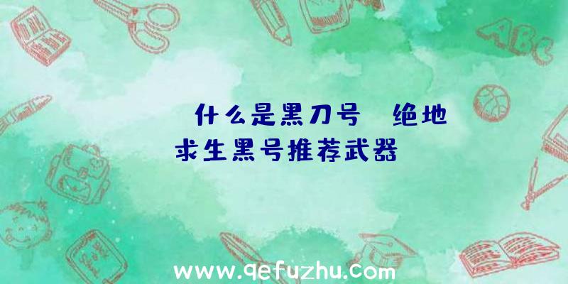 「pubg什么是黑刀号」|绝地求生黑号推荐武器